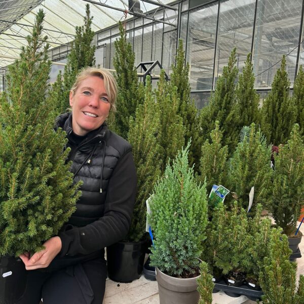 IMG-20251106-WA0008 IMG-20251106-WA0008